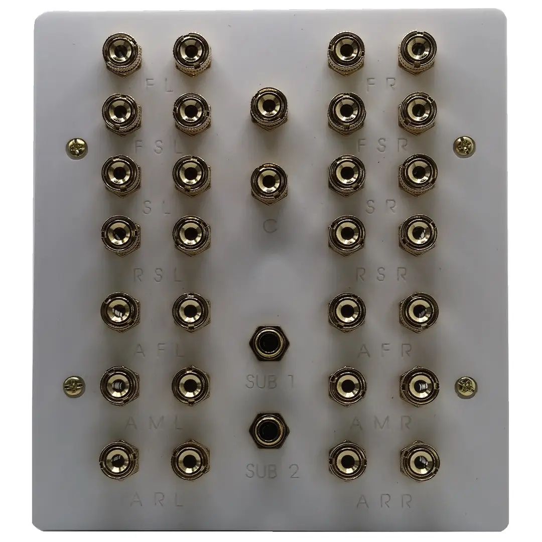 Dolby Atmos 9.2.6 Speaker Wall Plate