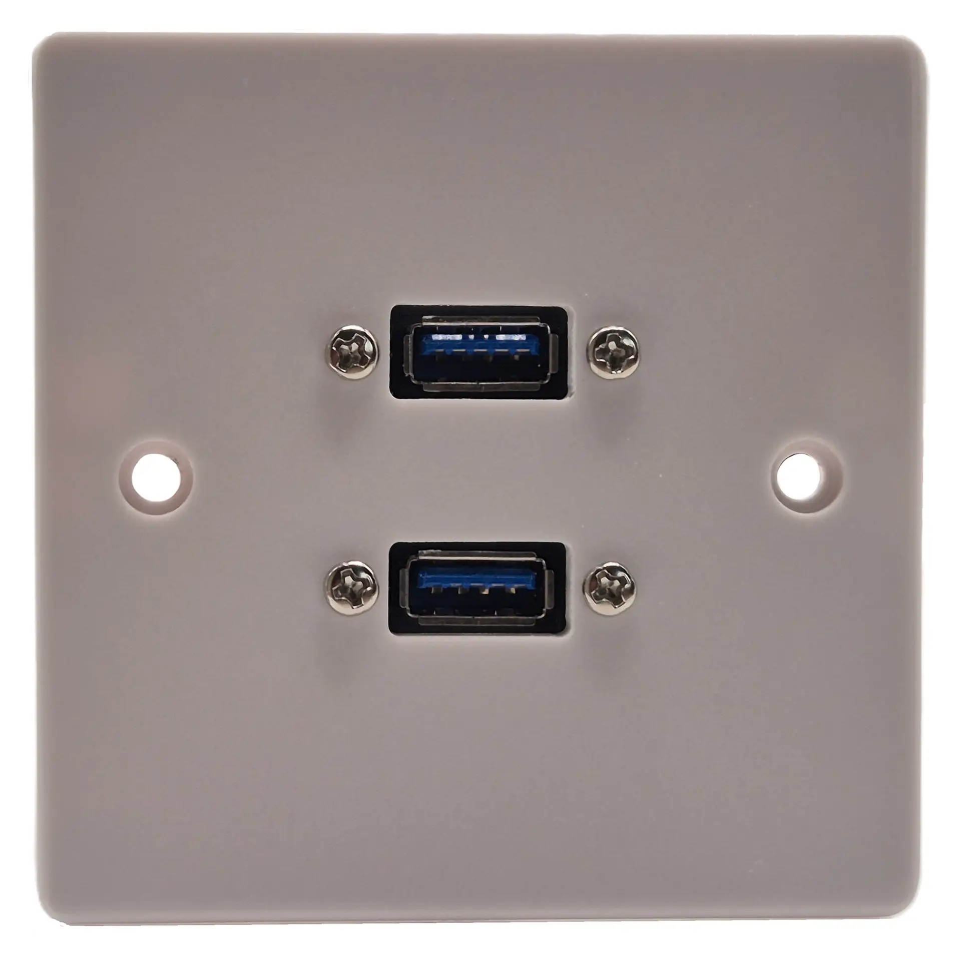 Dual USB Connection Plate