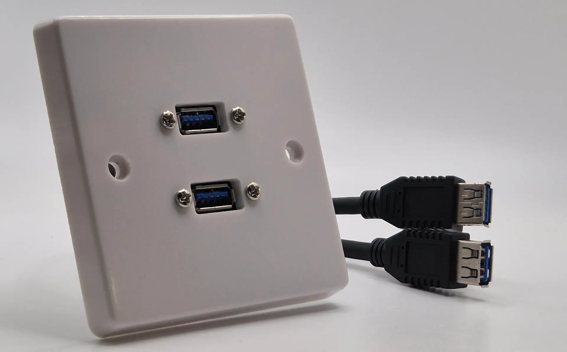 Dual USB Connection Plate