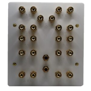 Dolby Atmos 7.2.4 Speaker Wall Plate