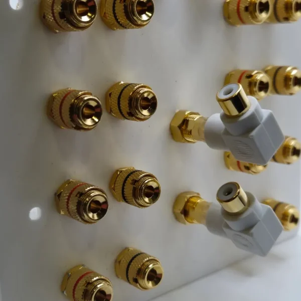 Dolby Atmos 7.2.4 Speaker Wall Plate