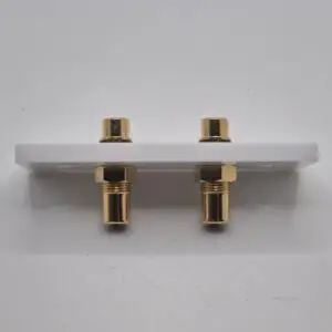 dual RCA couplers on a architrave wall plate