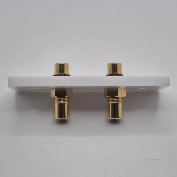 Architrave Dual Subwoofer Wall Plate