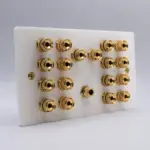 Dolby 9.1 Speaker Wall Plate