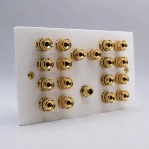 Dolby 9.1 Speaker Wall Plate