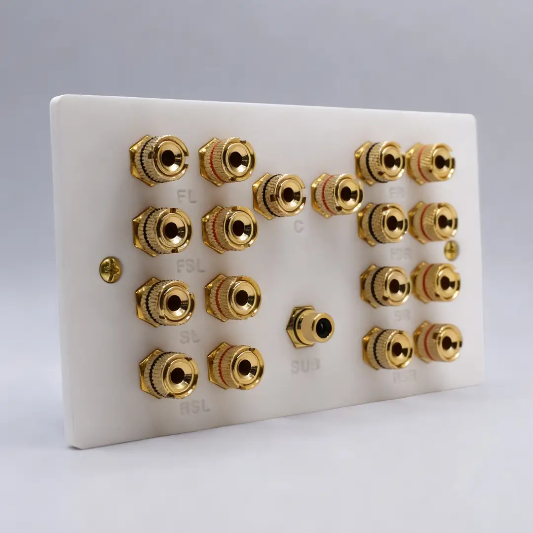 Dolby 9.1 / 9.2 Speaker Wall Plate