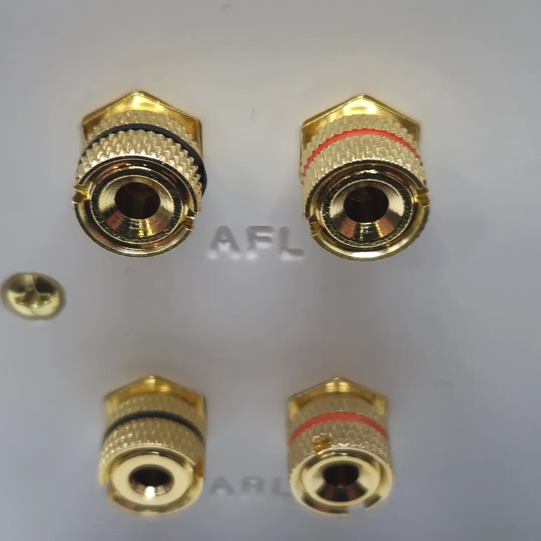 thumbnail image 2 of MSG Slimline Speaker Wall Face Plate – 2 Post Brass, Banana Female, Audio Solder Terminals 2 of 4