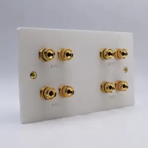Dolby Atmos Four Speaker Wall Plate