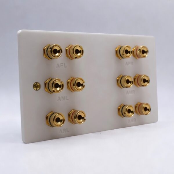 Dolby Atmos Six Speaker Wall Plate