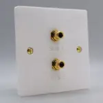 Single Gang Twing Subwoofer Speaker Wall Plate