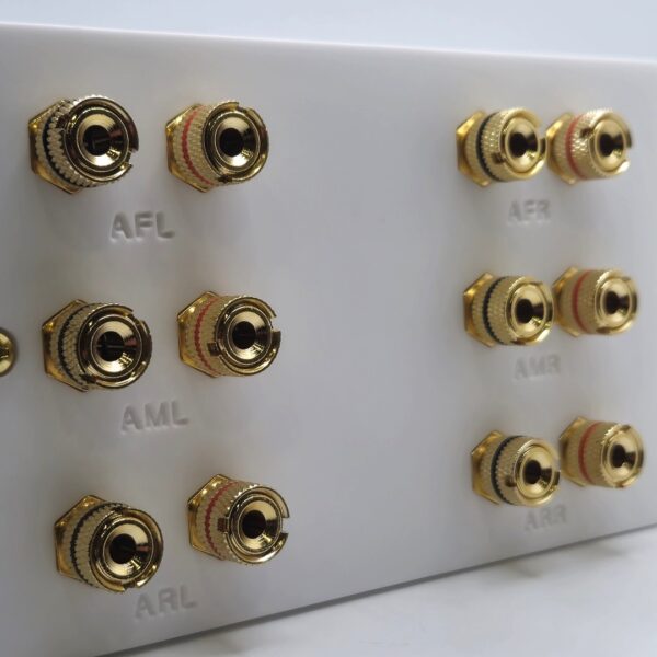 Dolby Atmos Six Speaker Wall Plate