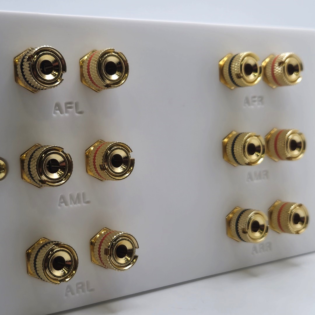 Dolby Atmos Six Speaker Wall Plate