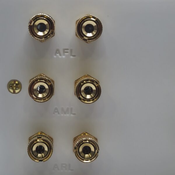 Dolby Atmos Six Speaker Wall Plate