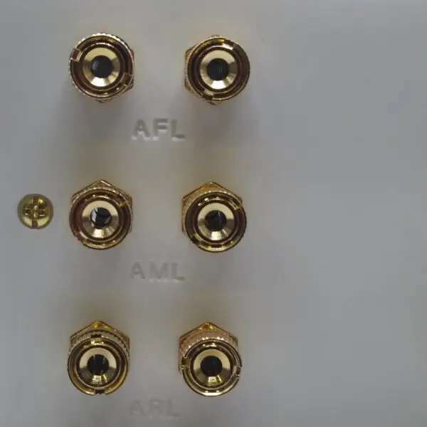 Dolby Atmos Six Speaker Wall Plate