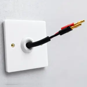 speaker cable coming out of the wall through a low profile wall plate