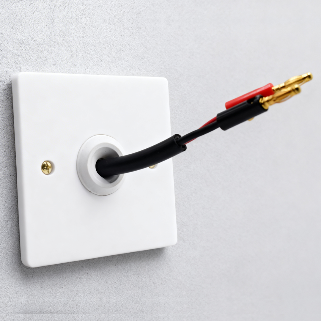 Low Profile Speaker Wall Plate