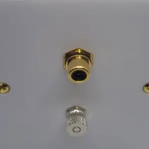 subwoofer socket and ground on a single gang wall plate
