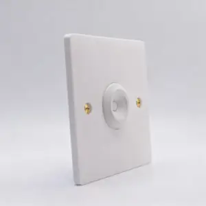 ultra thin speaker wall plate