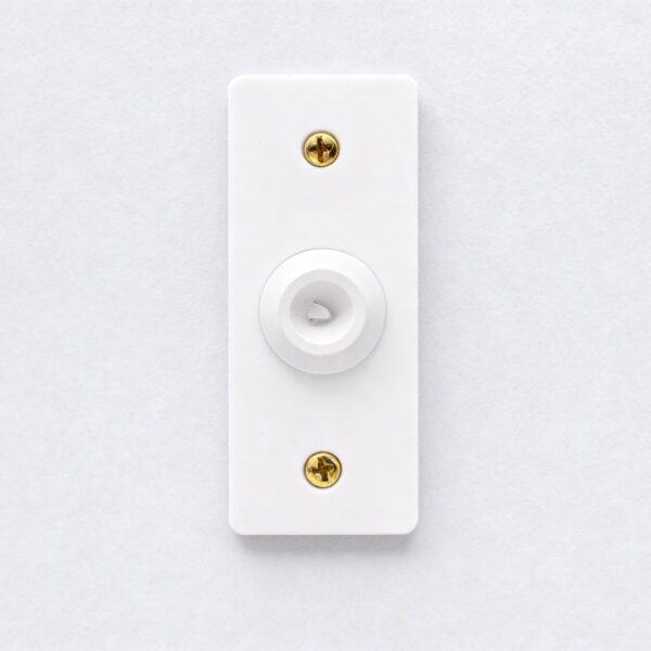 Architrave Low Profile Speaker Plate