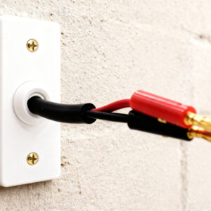 low profile speaker wall plate on solid wall