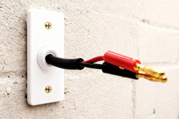 Architrave Low Profile Speaker Plate
