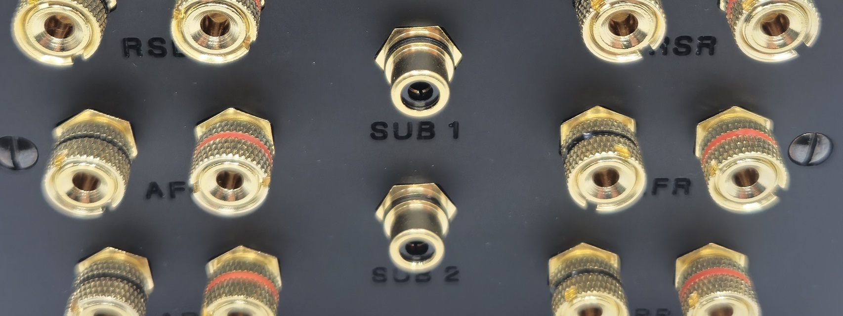 custom home cinema speaker plate