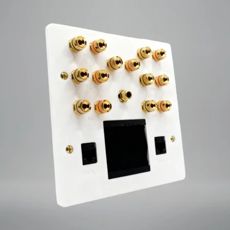 dolby-atmos-5.1.2-with-brush-plate-and-cat6 dolby atmos 5.1.2 with a brush plate outlet and 2 network cat6 sockets