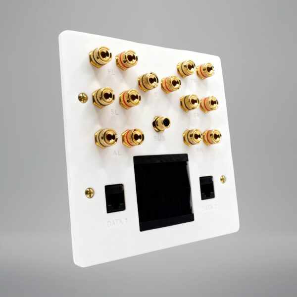 dolby atmos 5.1.2 with a brush plate outlet and 2 network cat6 sockets