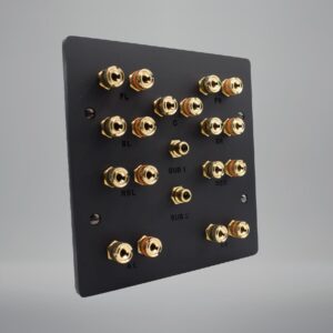 frosted matt black 7.2.2 dolby atmos speaker plate