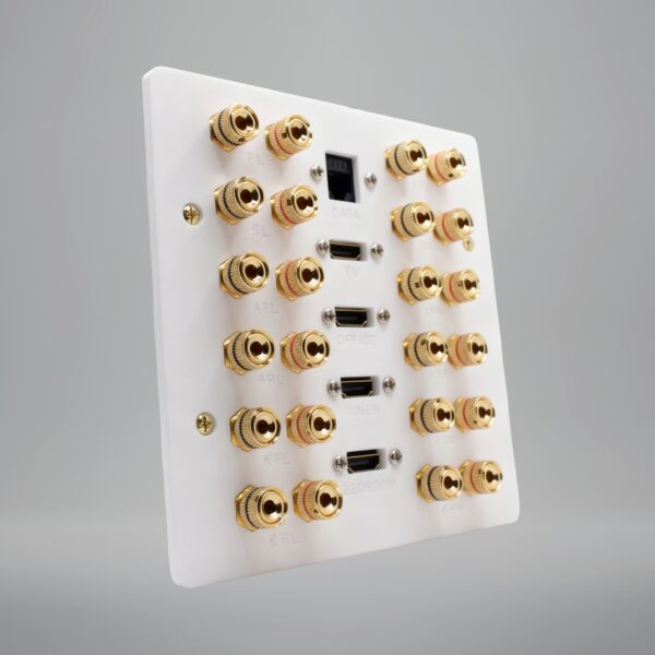 custom plate with 12 speaker posts 4 hdmi sockets and a network socket