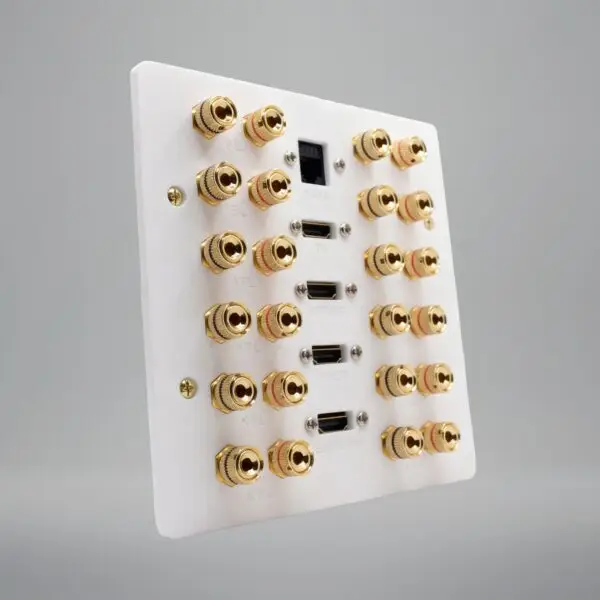 custom plate with 12 speaker posts 4 hdmi sockets and a network socket