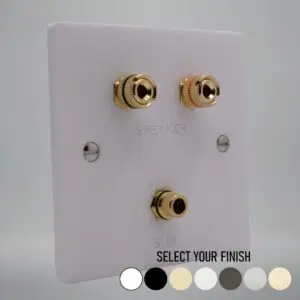 Single Gang Speaker & Subwoofer Wall Plate Single Gang Speaker & Subwoofer Wall Plate
