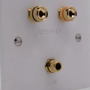 Single Gang Speaker & Subwoofer Wall Plate - Image 2