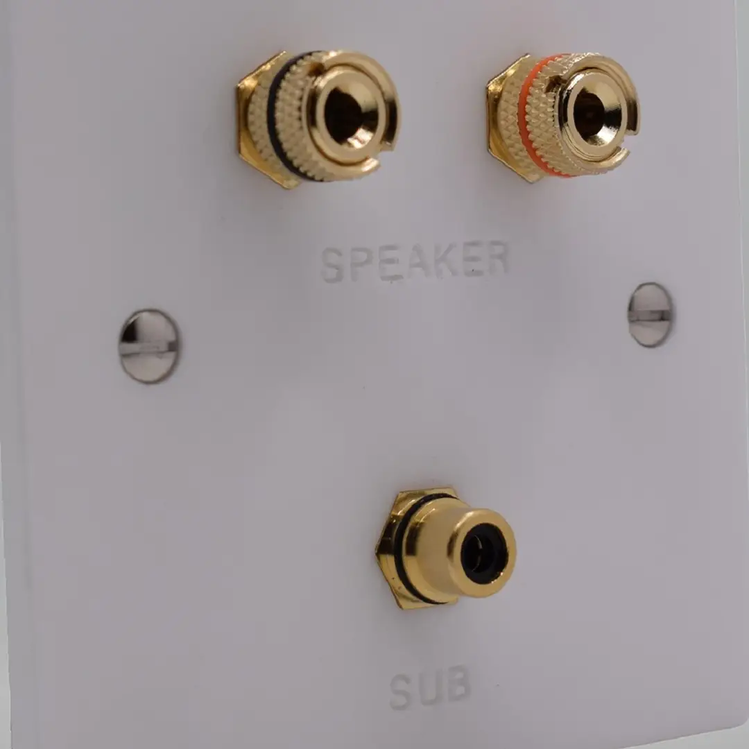 Single Gang Speaker & Subwoofer Wall Plate Single Gang Speaker & Subwoofer Wall Plate