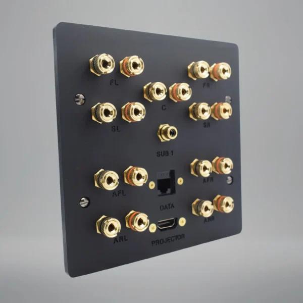 5.1.4 Dolby Atmos speaker plate with HDMI & Cat6 sockets